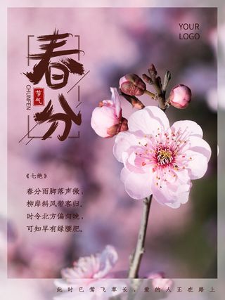 春分二十四节气传统中国风插画高清活动海报展板PSD模板素材