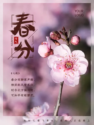 春分二十四节气传统中国风插画高清活动海报展板PSD模板素材