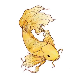 手绘烫金国潮中国风卡通锦鲤鱼金鱼插画装饰元素PSD设计素材