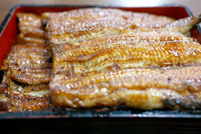 美食鳗鱼高清图片
