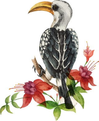 简约风手绘素描动画小鸟鸟儿免扣PNG图片素材 (9)