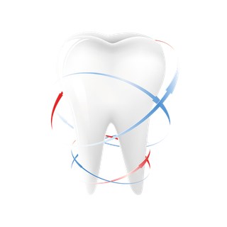 png免抠素材 牙齿png 牙龈 口腔洁素材 牙齿免扣全国爱牙日