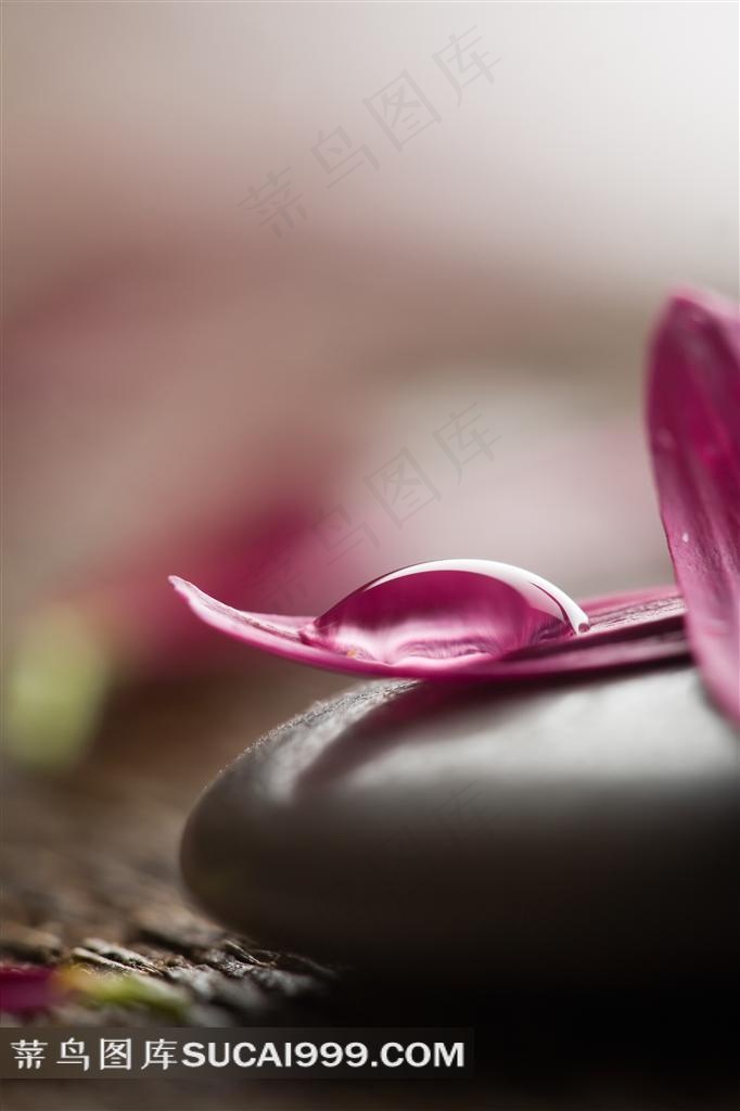 水疗SPA美容图片