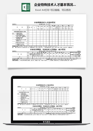 企业特殊技术人才基本情况表excel模板