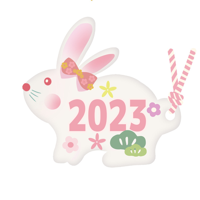 2023年兔年粉色数字挂画psd模版下载