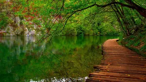 创意图片 美景 美景壁纸 旅游风景 风景名胜