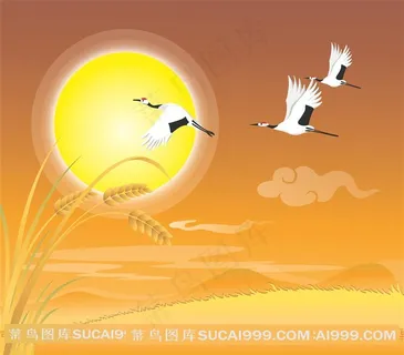 黄昏仙鹤艺术图片