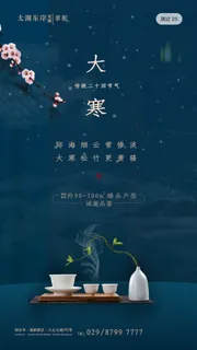 二十四24节气大寒中国传统节日冬季海报模设计素材 二十四24节气大寒中国传统节日冬季海报模设计素材