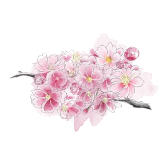 春天浪漫粉红色樱花手绘樱花梅花桃花花朵图片PNG免扣素材