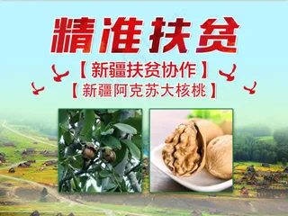 2021|新疆|特产|拱门|装饰|物料