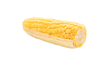 玉米 (13)超市商品白底图免抠实物摄影png格式图片透明底