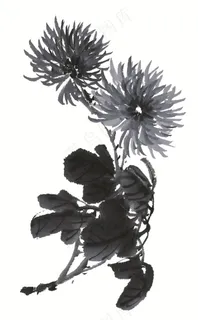 写意花卉绘画摄影图片 写意花卉绘画摄影图片