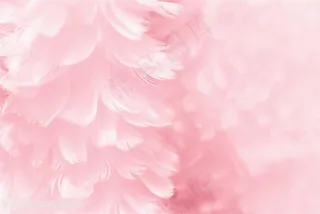唯美清新羽毛背景