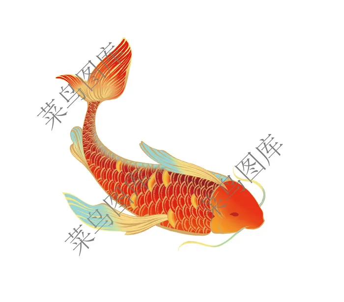 鲤鱼高清图ai矢量模版下载