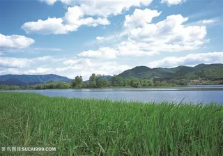 户外天空湖泊水稻田粮食景观草地