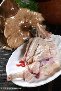 煲珍菌茶花鸡 煲珍菌茶花鸡