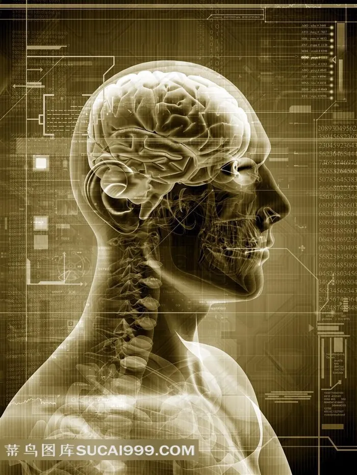 人体大脑科技高清图片