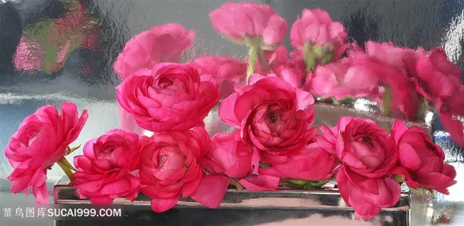 热情活泼的粉玫瑰花束