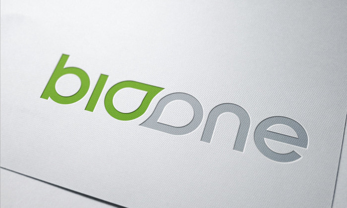 LOGO展示效果样机