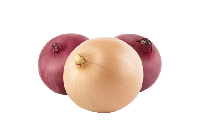 洋葱 (15)超市商品白底图免抠实物摄影png格式图片透明底