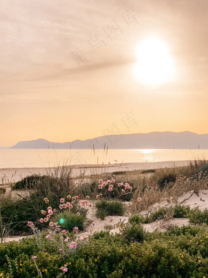 海边烈日当空图片