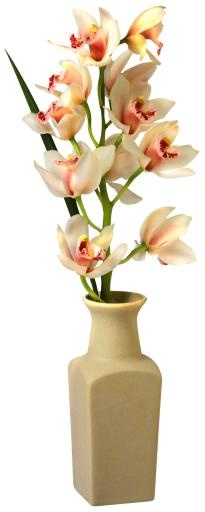 花瓶 PNG免抠(729x1812)
