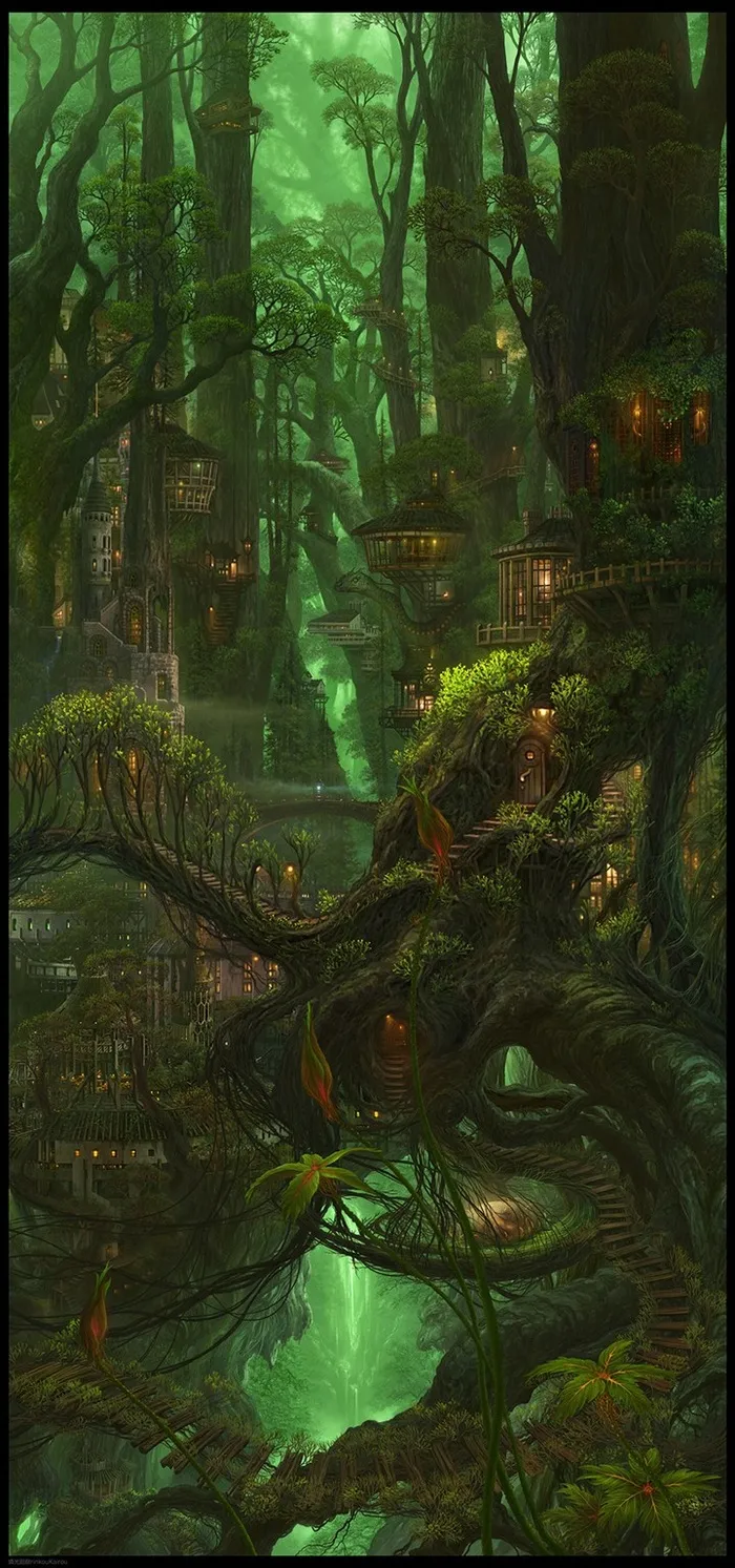 森林图片 森林防火 原始森林 森林背景 森林背景图 森林树木