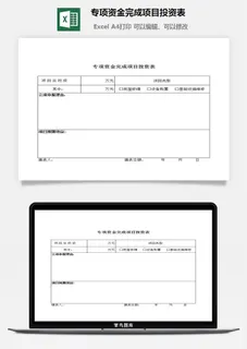 专项资金完成项目投资表excel模板