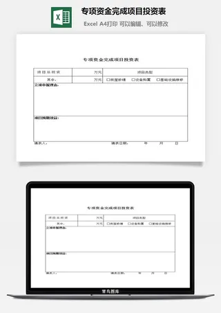专项资金完成项目投资表excel模板