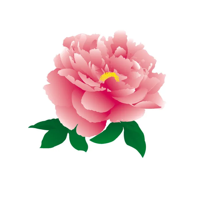 手绘国潮中国风古典牡丹花国花花卉装饰图案PSD设计素材ai矢量模版下载