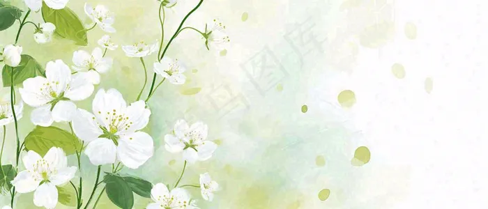 清新白色小花野花野草春天萌芽手绘，春分(1680x720)