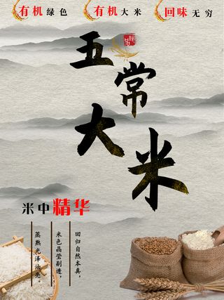 大米五常米饭水稻