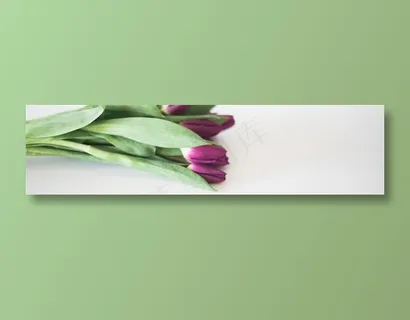 横屏宽幅banner素材高清摄影图片 横屏宽幅banner素材高清摄影图片