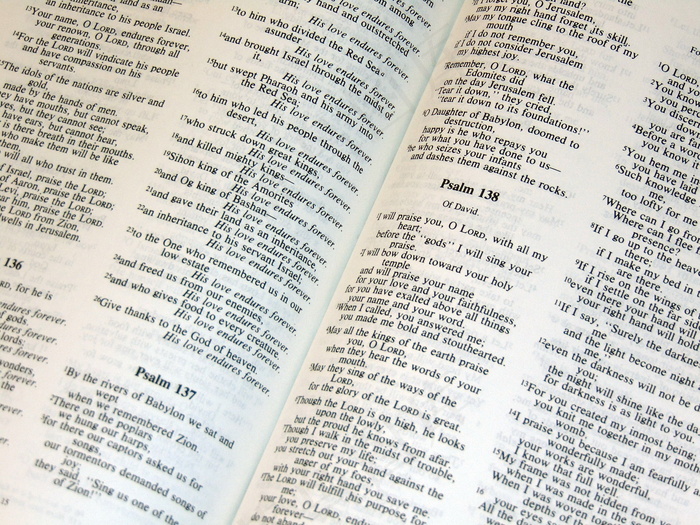 翻开的英文书籍图片