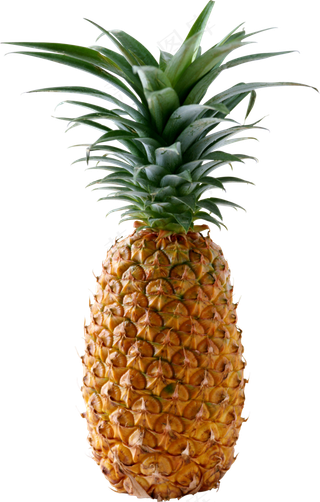PNG 菠萝 