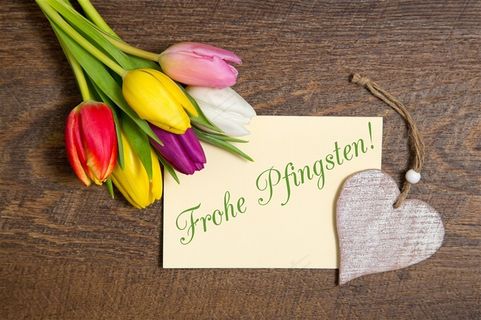 桌上郁金香小花束鲜花图片