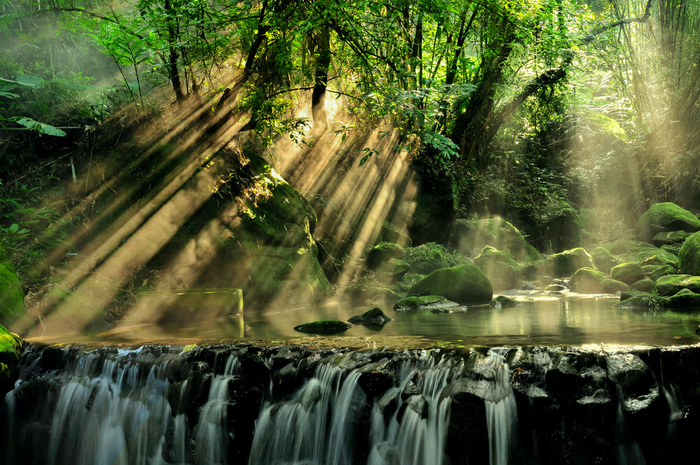 高清森林树林湖水