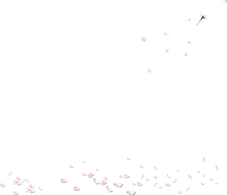 花瓣 免抠 漂浮 花瓣元素