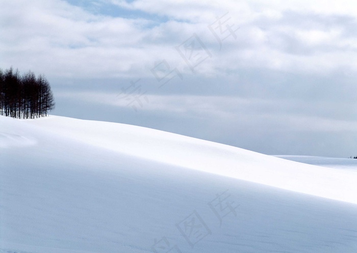 冰天雪地 311