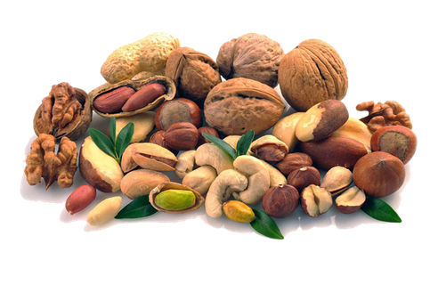 坚果 核桃 开心果 松子 免扣素材