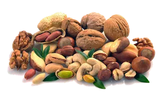 坚果 核桃 开心果 松子 免扣素材