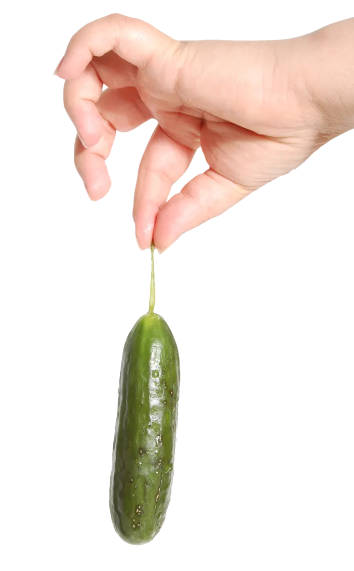 奶黄瓜蔬菜