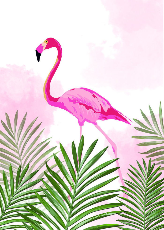 火烈鸟时尚植物插画