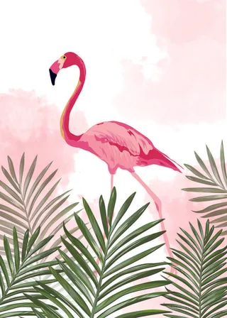 火烈鸟时尚植物插画