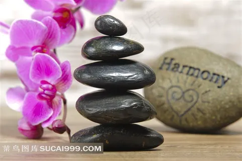 黑色鹅卵石兰花图片