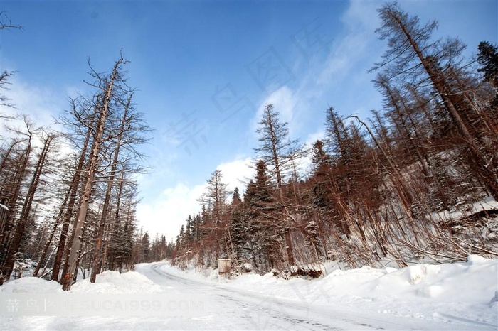 吉林长白山雪景高清摄影图片