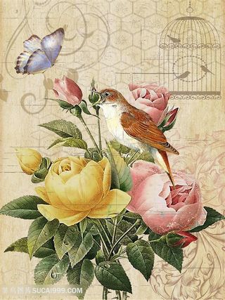 欧式花与蝴蝶装饰画