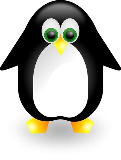 Linux 标志 PNG免抠(544x720)