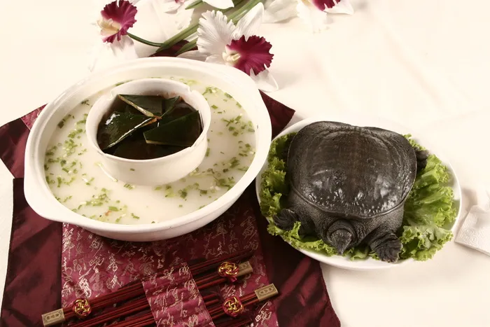 双味甲鱼