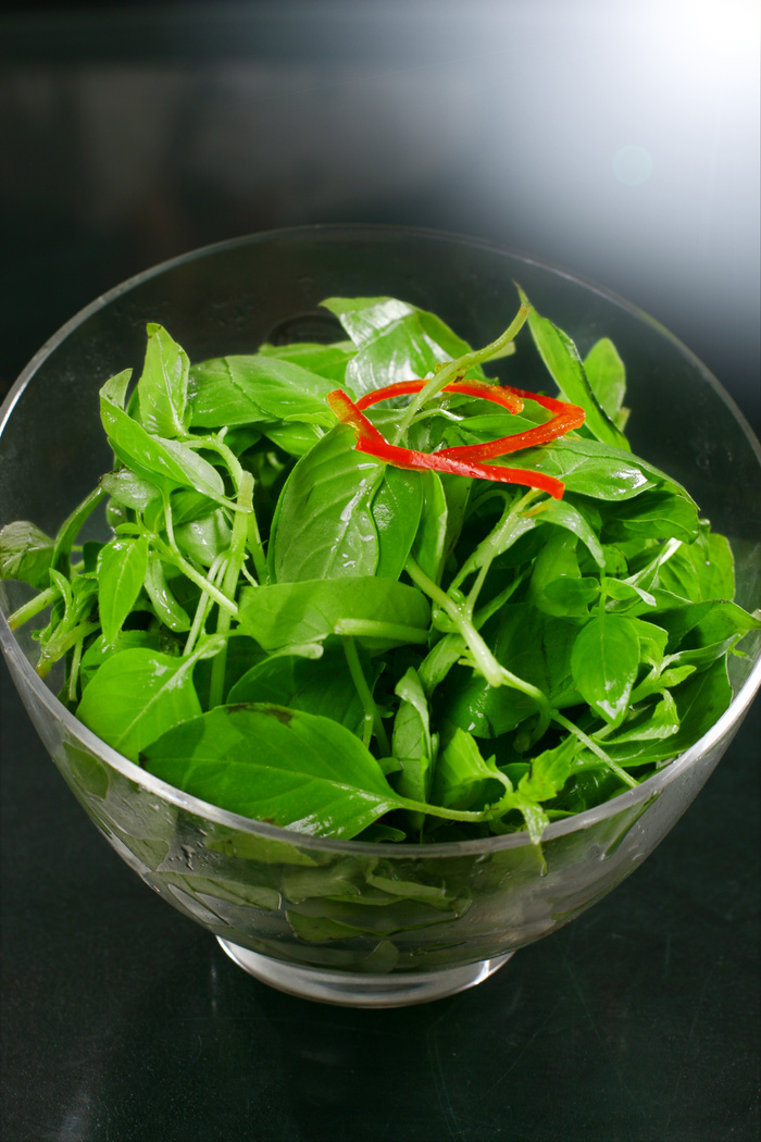 L01496椒丝荆芥8 (9)